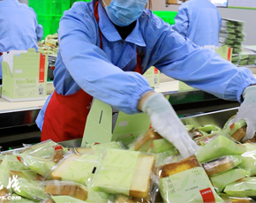 綠色食品加工純水設備解決方案